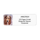 Search for lassy labels Lassie