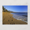 Search for maui postcards Pacific