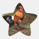 Search for gallo stickers Animal