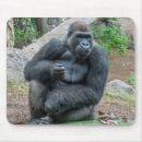 Search for gorilla mousepads Animals