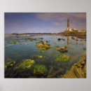 Recherche de maritime posters Plage