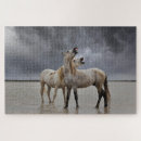 Recherche de horse puzzles Stallion