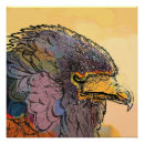 Recherche de oiseaux proie posters Rapaces