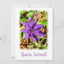 Search for clematis Photography