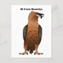 Recherche de vautour cartes postales Oiseau de proie