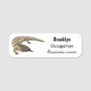 Search for reptile name tags Illustration