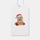 Search for maltipoo crafts party Pug
