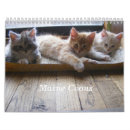 Recherche de chaton de ragondin Le maine