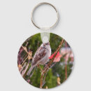 Search for sparrow keychains Tree
