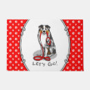 Search for australian shepherd garden outdoor Dog