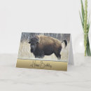Search for bison birthday cards Buffalo