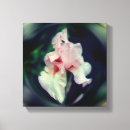 Search for iris flowers canvas prints Floral
