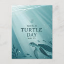 Recherche de tortues marines cartes postales Pour tous