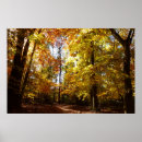 Search for fall scene posters Nature