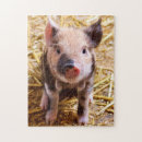 Search for piglet puzzles Animals