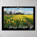 Recherche de tulipe posters Voyage