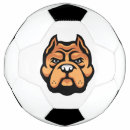 Search for funny soccer balls Pet