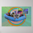 Recherche de rainbow bridge posters Chien