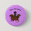 Recherche de dog buttons Dachshund
