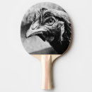 Recherche de oiseaux raquettes ping pong Poule