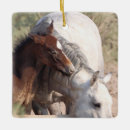 Recherche de crinière ornements Pour tous