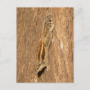 Search for tree trunk postcards Animal
