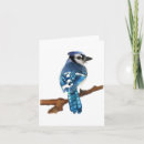 Search for blue jay cards Bird