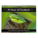 Search for snakes office supplies Viper