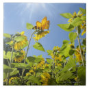 Recherche de illusion carreaux Nature