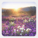 Search for california state park stickers Nobody