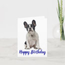 Search for frenchies cards Puppy