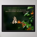 Search for aries posters Flower