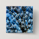 Search for blue trees square buttons Nature