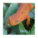 Recherche de gouttes de pluie carreaux Nature