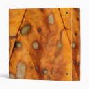 Search for autumn leaf avery binders Nature