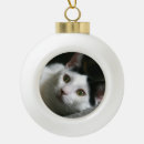 Search for domestic ornaments Black