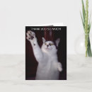 Search for kitty cat cards Humour