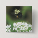 Search for annuals accessories Flowers