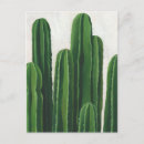 Search for cacti postcards Tropical