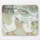 Recherche de canards de parc Pour tous