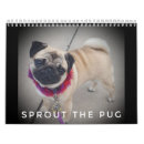 Search for pug calendars Cute