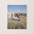 Search for longhorn puzzles Texas