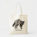 Search for trashed bags Raccoon