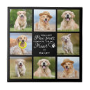 Search for memorial tiles In loving memory