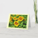 Search for sunflower holiday cards Floral