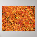 Search for leaf thanksgiving art Yellow