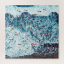 Search for flamingo puzzles Abstract