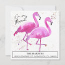 Search for flamingo moving announcement cards New home