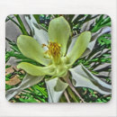 Recherche de colons tapis souris Blanc