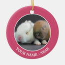 Search for dwarf ornaments Rabbit